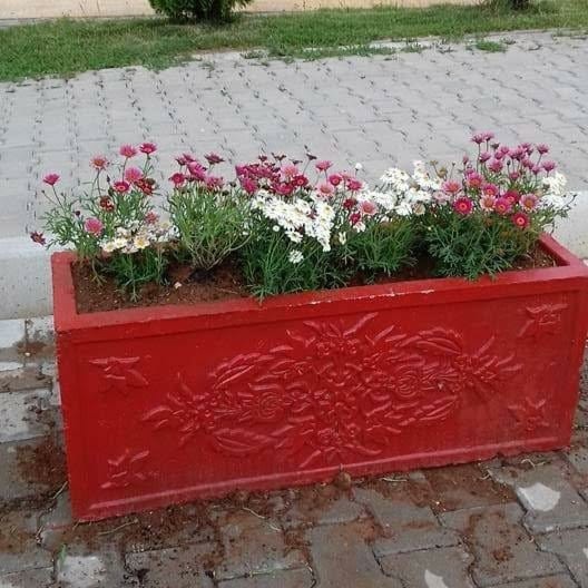 Dekoratif Kültür Taşları